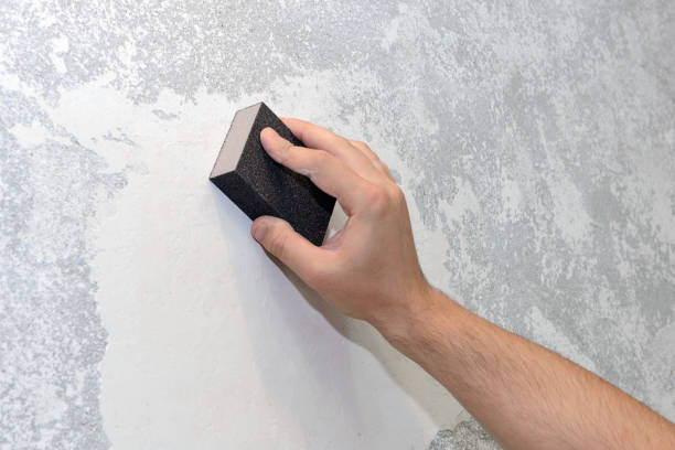 Best Mold Prevention Services  in Oroville, WA