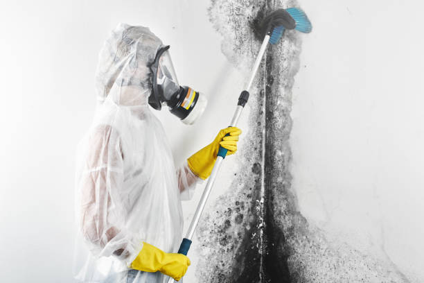 Best Crawl Space Mold Remediation  in Oroville, WA