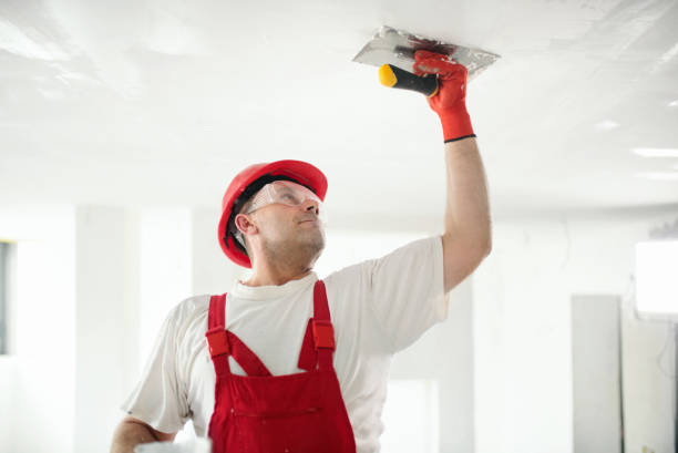 Best Real Estate Mold Inspection  in Oroville, WA