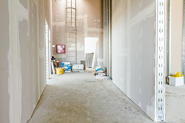 Best Forensic Mold Investigation  in Oroville, WA