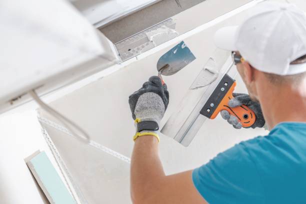 Best Mold Removal for HVAC Installations  in Oroville, WA